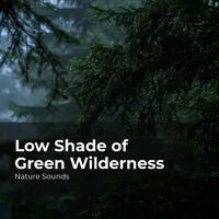 Low Shade of Green Wilderness