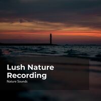 Lush Nature Recording