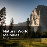 Natural World Melodies