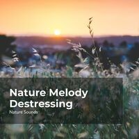 Nature Melody Destressing