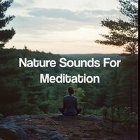 Nature Sounds For Meditation
