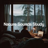Nature Sounds Study