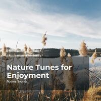 Nature Tunes for Enjoyment