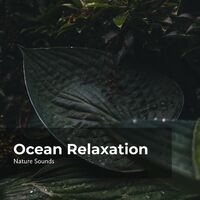Ocean Relaxation