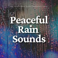 Peaceful Rain Sounds