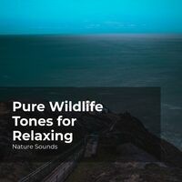 Pure Wildlife Tones for Relaxing