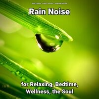 Rain Noise for Relaxing, Bedtime, Wellness, the Soul