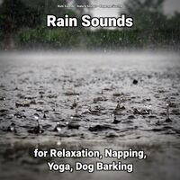 Rain Sounds for Relaxation, Napping, Yoga, Dog Barking