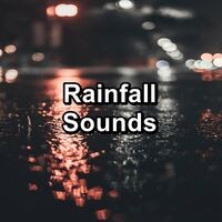Rainfall Sounds