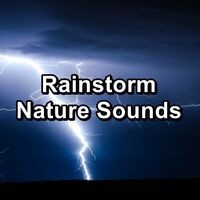 Rainstorm Nature Sounds