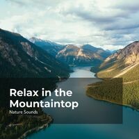 Relax in the Mountaintop