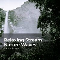 Relaxing Stream Nature Waves