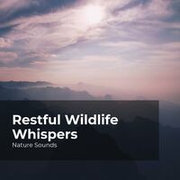 Restful Wildlife Whispers