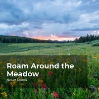 Roam Around the Meadow