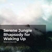 Serene Jungle Rhapsody for Waking Up