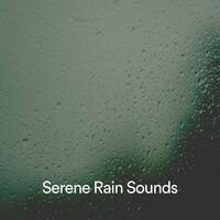 Serene Rain Sounds