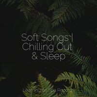 Soft Songs | Chilling Out & Sleep