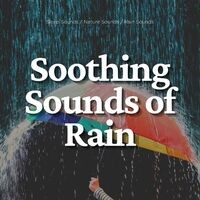 Soothing Sounds of Rain