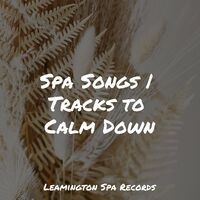 Spa Songs | Tracks to Calm Down