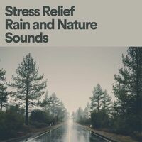 Stress Relief Rain and Nature Sounds