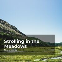 Strolling in the Meadows
