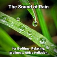 The Sound of Rain for Bedtime, Relaxing, Wellness, Noise Pollution