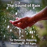 The Sound of Rain for Relaxing, Napping, Meditation, All Ages