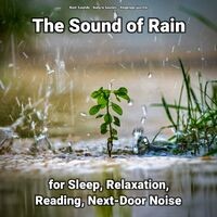 The Sound of Rain for Sleep, Relaxation, Reading, Next-Door Noise