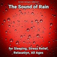 The Sound of Rain for Sleeping, Stress Relief, Relaxation, All Ages