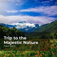 Trip to the Majestic Nature