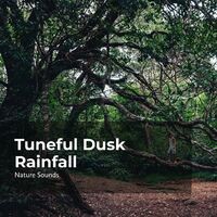 Tuneful Dusk Rainfall
