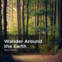 Wander Around the Earth