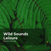 Wild Sounds Leisure