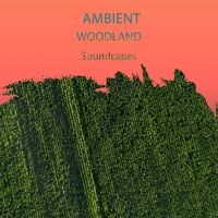 zZz Ambient Woodland Soundcapes zZz