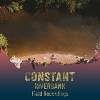 zZz Constant Riverbank Field Recordings zZz