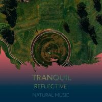 zZz Tranquil Reflective Natural Music zZz