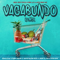 Vagabundo (Remix)