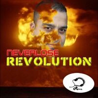 Revolution Remixes 2009