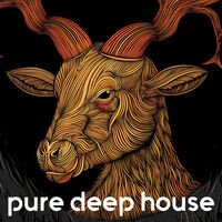 Pure Deep House