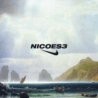Nicoes3