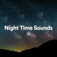 Night Time Sounds