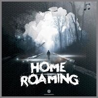 Home Roaming