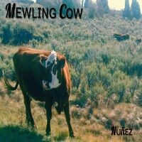 Mewling Cow