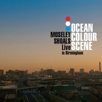 Moseley Shoals Live in Birmingham