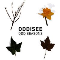 Odd Seasons