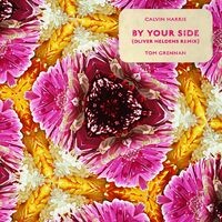 By Your Side (feat. Tom Grennan) (Oliver Heldens Remix)