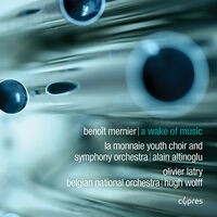 Benoît Mernier: A Wake of Music