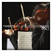 Twenty Big Orchestras Songs Vol. 2