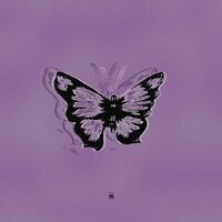 Butterflies: Phase 3