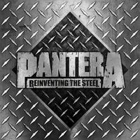 Reinventing The Steel - 20th Anniversary Deluxe Edition (Terry Date Mix)
